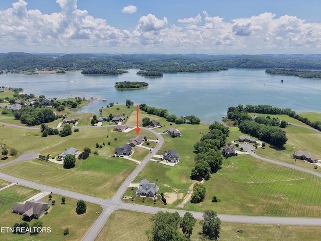 4013 Paradise Dr, Mooresburg, TN 37811 - photo 8