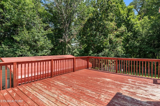 295 Clear Branch Rd, Corryton, TN 37721 - photo 18