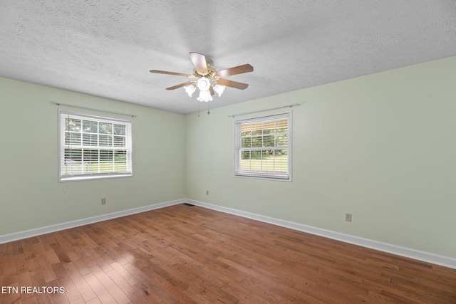 295 Clear Branch Rd, Corryton, TN 37721 - photo 19