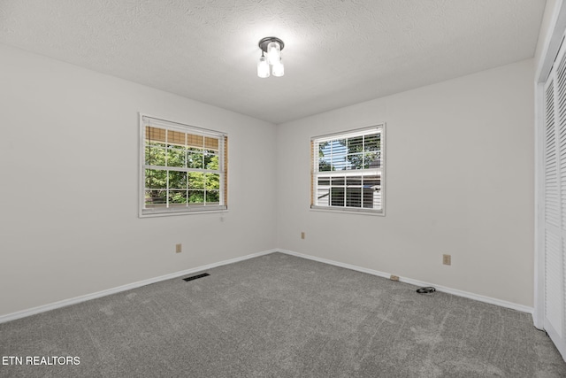 295 Clear Branch Rd, Corryton, TN 37721 - photo 24
