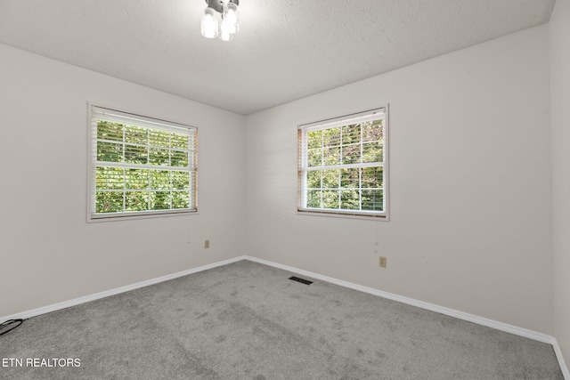 295 Clear Branch Rd, Corryton, TN 37721 - photo 27