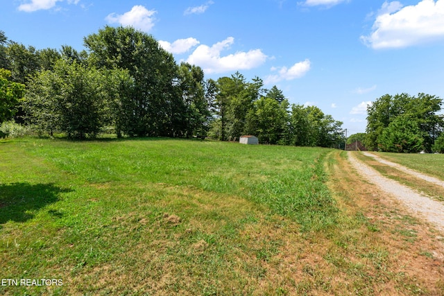 295 Clear Branch Rd, Corryton, TN 37721 - photo 35