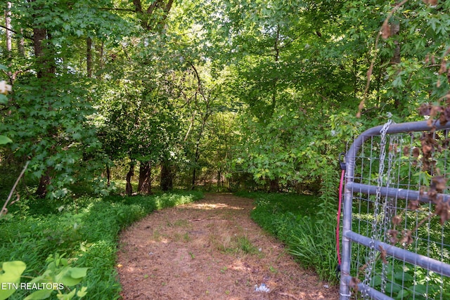 295 Clear Branch Rd, Corryton, TN 37721 - photo 40