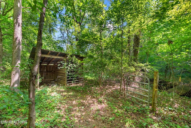 295 Clear Branch Rd, Corryton, TN 37721 - photo 41