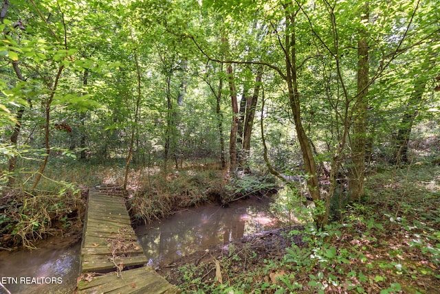 295 Clear Branch Rd, Corryton, TN 37721 - photo 42
