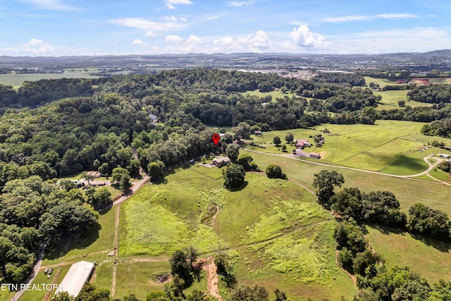 2451 Black Oak Rd, Jefferson City, TN 37760 - photo 42