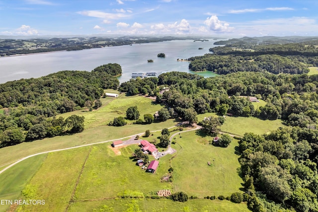 2451 Black Oak Rd, Jefferson City, TN 37760 - photo 47