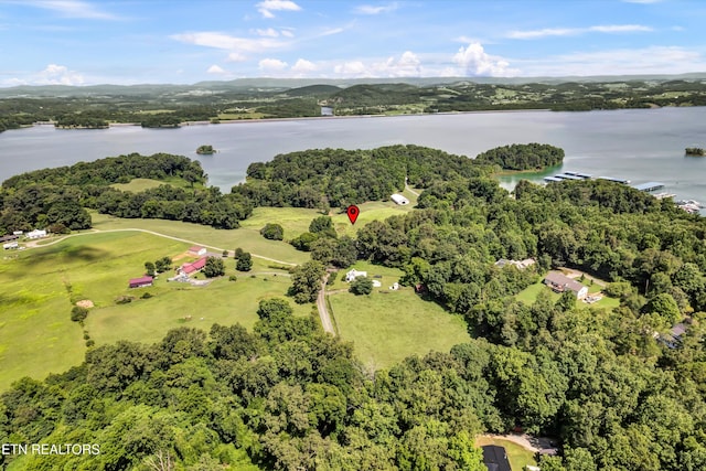 2451 Black Oak Rd, Jefferson City, TN 37760 - photo 48