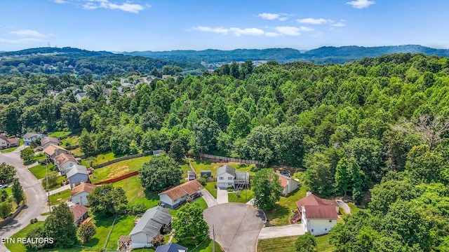 6823 Silent Brook Ln, Knoxville, TN 37921 - photo 29