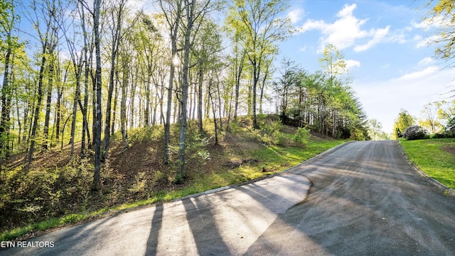 LOT39 Apple Tree Dr, Clinton, TN 37716 - photo 3