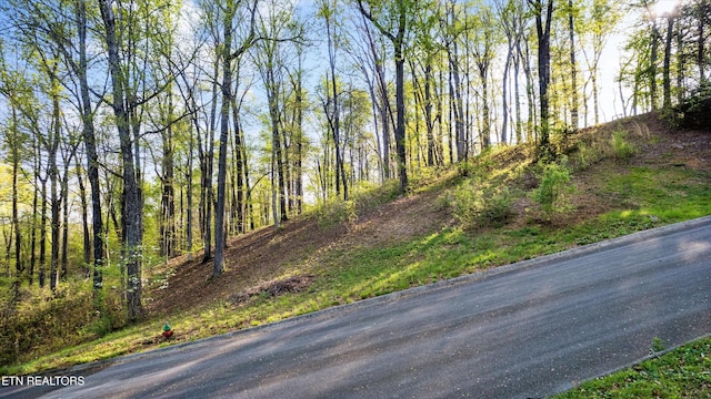 LOT39 Apple Tree Dr, Clinton, TN 37716 - photo 5