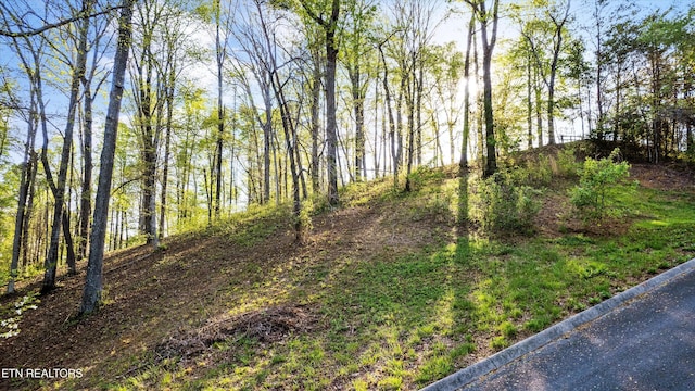 LOT39 Apple Tree Dr, Clinton, TN 37716 - photo 4