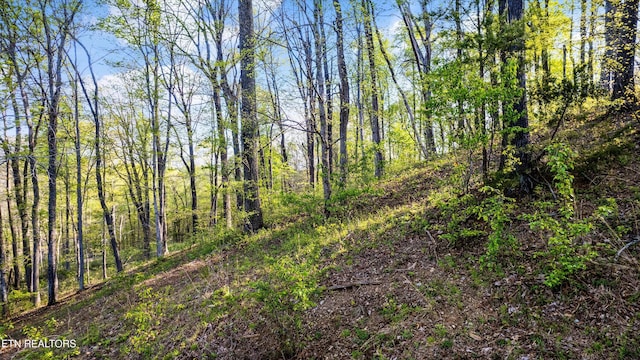 LOT39 Apple Tree Dr, Clinton, TN 37716 - photo 6
