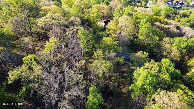 LOT39 Apple Tree Dr, Clinton, TN 37716 - photo 11