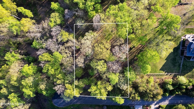 LOT39 Apple Tree Dr, Clinton, TN 37716 - photo 9