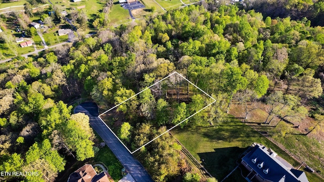 LOT39 Apple Tree Dr, Clinton, TN 37716 - photo 10