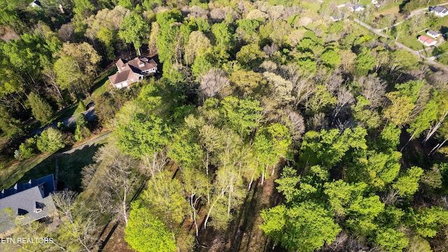 LOT39 Apple Tree Dr, Clinton, TN 37716 - photo 12