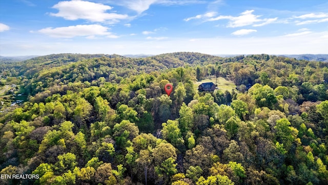 LOT39 Apple Tree Dr, Clinton, TN 37716 - photo 13