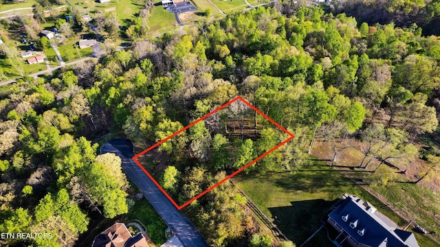 LOT39 Apple Tree Dr, Clinton, TN 37716 - photo 2