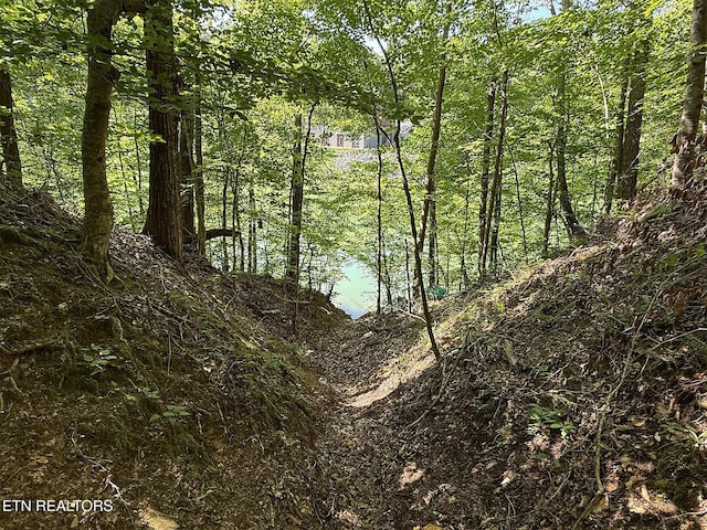 3139 Caywood Rd, Dandridge, TN 37725