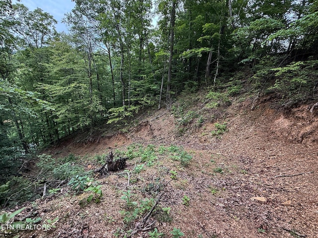 3139 Caywood Rd, Dandridge, TN 37725