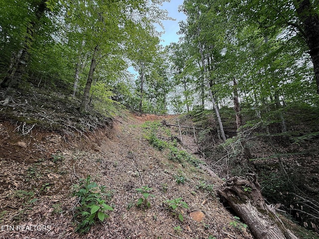 3139 Caywood Rd, Dandridge, TN 37725