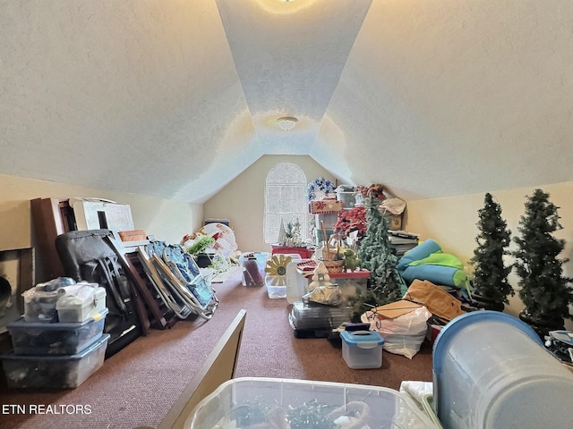 1292 Martin Ln, Lafollette, TN 37766 - bonus room featuring carpet flooring, a textured ceiling, and vaulted ceiling