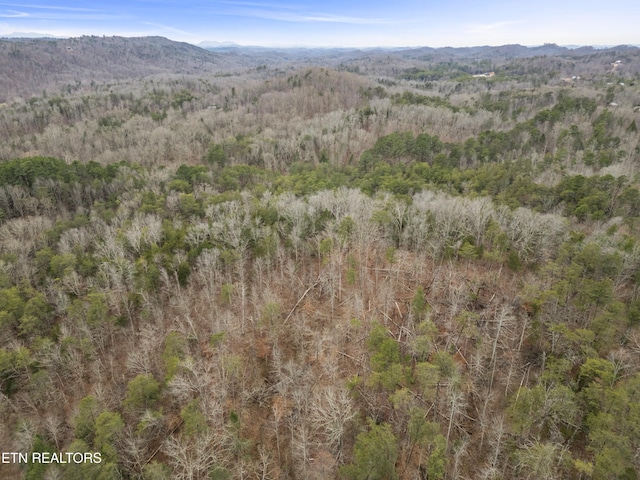 3940 Allegheny Loop Rd, Maryville, TN 37803