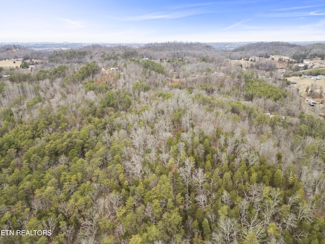 3940 Allegheny Loop Rd, Maryville, TN 37803