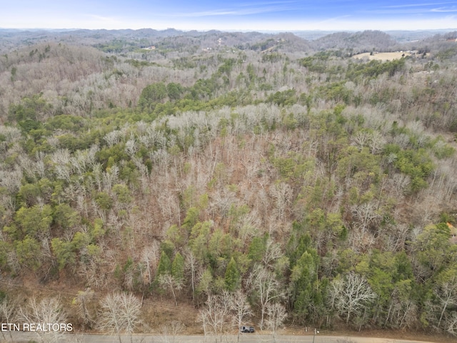 3940 Allegheny Loop Rd, Maryville, TN 37803