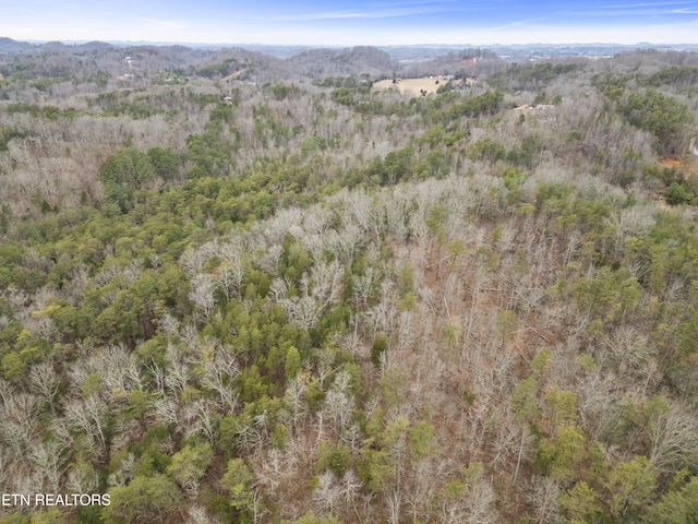 3940 Allegheny Loop Rd, Maryville, TN 37803