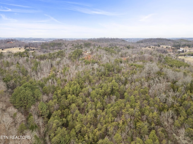 3940 Allegheny Loop Rd, Maryville, TN 37803