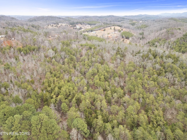 3940 Allegheny Loop Rd, Maryville, TN 37803