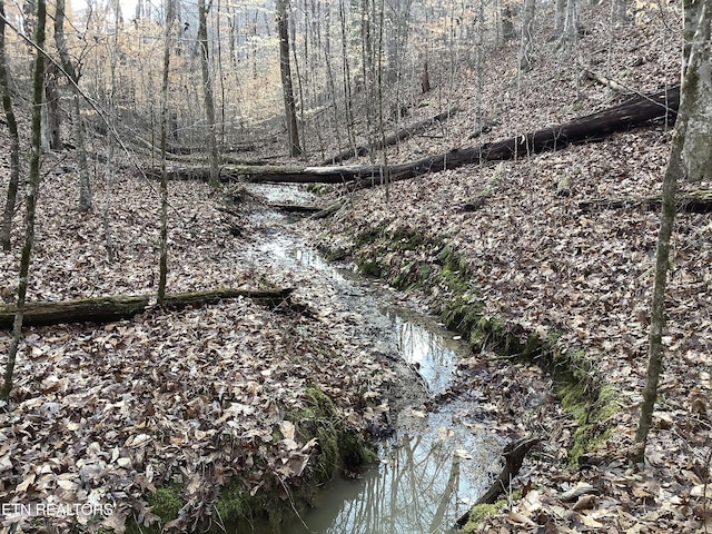 Blockhouse Rd, Maryville, TN 37803 - photo 2