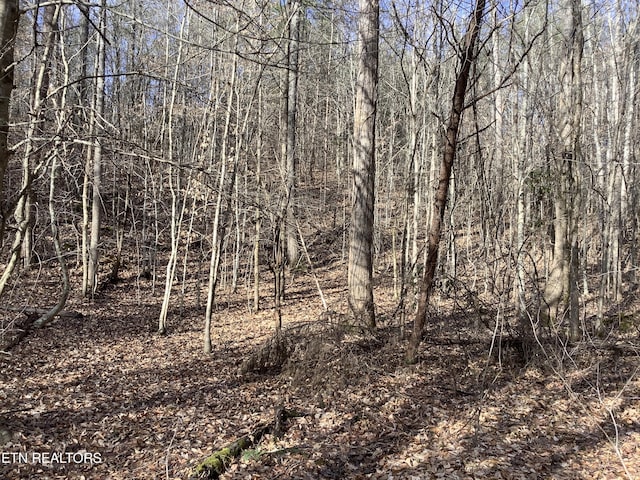 Blockhouse Rd, Maryville, TN 37803 - photo 3