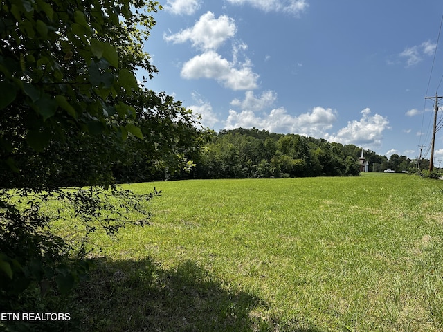 Blockhouse Rd, Maryville, TN 37803 - photo 6