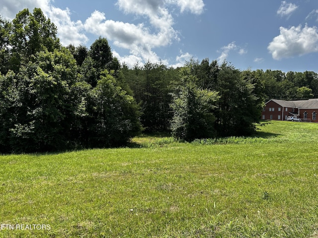 Blockhouse Rd, Maryville, TN 37803 - photo 9