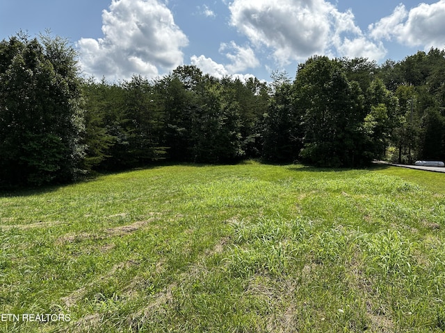 Blockhouse Rd, Maryville, TN 37803 - photo 10