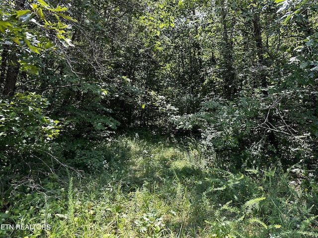 Blockhouse Rd, Maryville, TN 37803 - photo 12