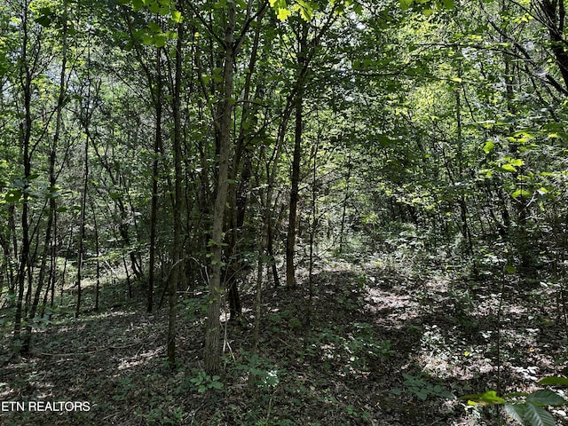 Blockhouse Rd, Maryville, TN 37803 - photo 13