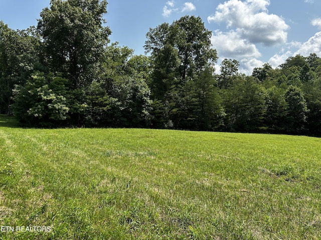 Blockhouse Rd, Maryville, TN 37803 - photo 14