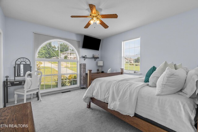 108 Skyline Dr, Dandridge, TN 37725 - carpeted bedroom featuring multiple windows and ceiling fan
