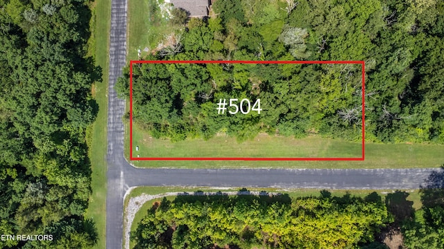 359 Walking Horse Trl, Rockwood, TN 37854 - photo 2