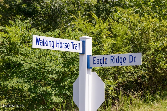 359 Walking Horse Trl, Rockwood, TN 37854 - photo 3