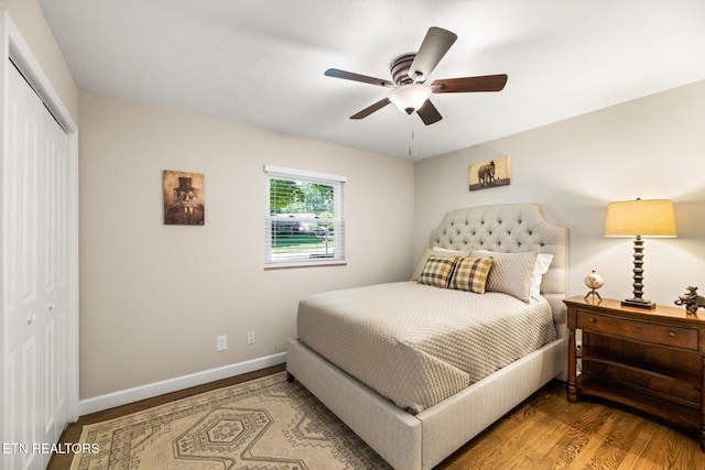 313 Hardwicke Dr, Knoxville, TN 37923 - bedroom with a closet, wood finished floors, and ceiling fan