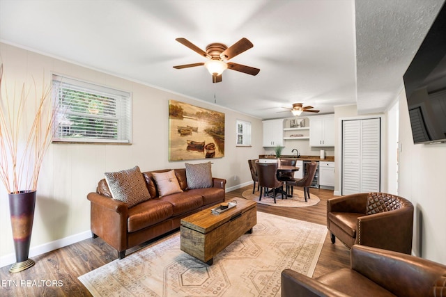 313 Hardwicke Dr, Knoxville, TN 37923 - living room with ceiling fan, wood finished floors, and crown molding