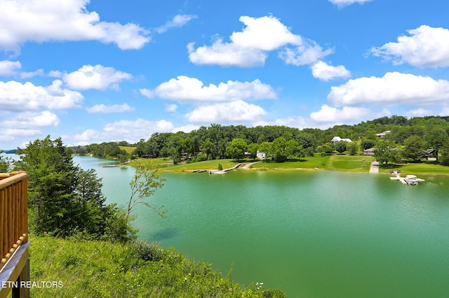 1144 Sanctuary Shores Way, Sevierville, TN 37876 - water view