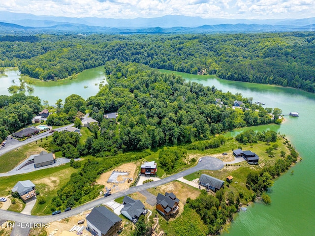 1144 Sanctuary Shores Way, Sevierville, TN 37876 - aerial view of a forest and a water and mountain view