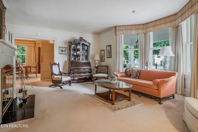 105 N Church St, Sparta, TN 38583 - carpeted living area featuring plenty of natural light and crown molding