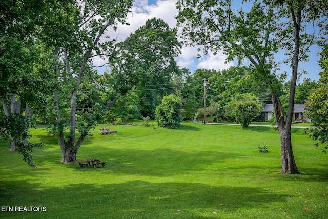 105 N Church St, Sparta, TN 38583 - surrounding community with a lawn